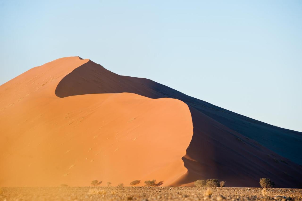 The Desert Grace سوليتير المظهر الخارجي الصورة